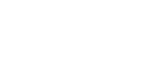 The Next Strategist Logo